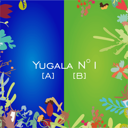 Yugala N°1 [A] [B] - HorseHealthEssentials