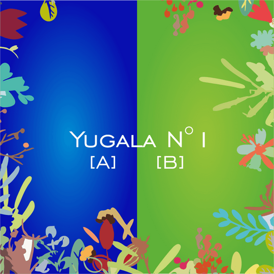 Yugala N°1 [A] [B] - HorseHealthEssentials