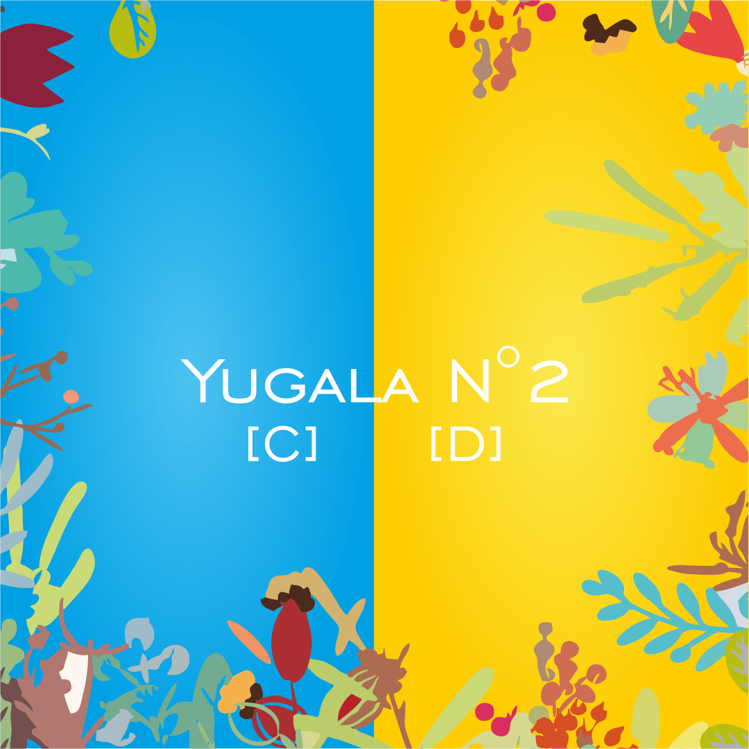 Yugala N°2 [C] [D] - HorseHealthEssentials