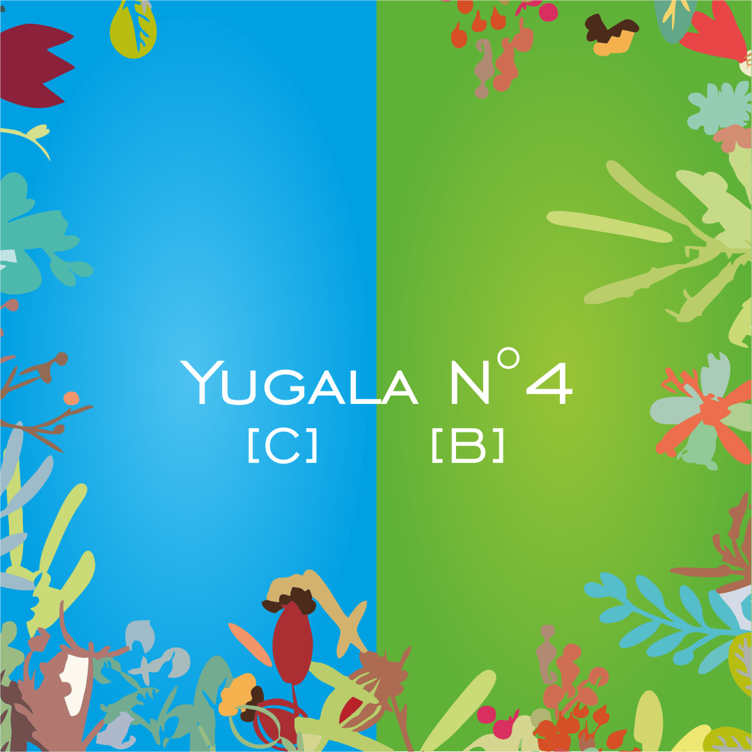 Yugala N°4 [C] [B] - HorseHealthEssentials