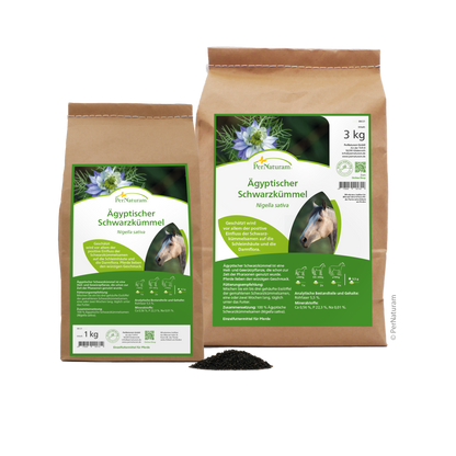 Ägyptischer Schwarzkümmel - HorseHealthEssentials