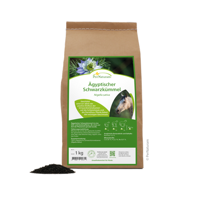 Ägyptischer Schwarzkümmel - HorseHealthEssentials