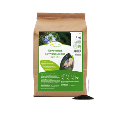 Ägyptischer Schwarzkümmel - HorseHealthEssentials