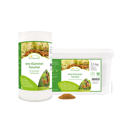 Anis - Kümmel - Fenchel - HorseHealthEssentials