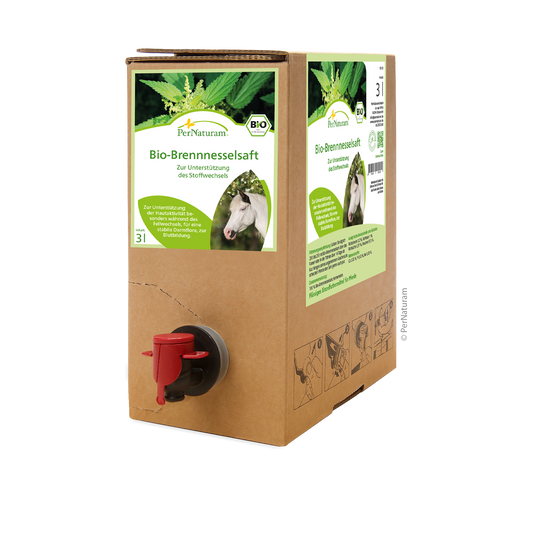 Bio Brennesselsaft 3l