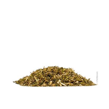 Brennesselkraut - HorseHealthEssentials