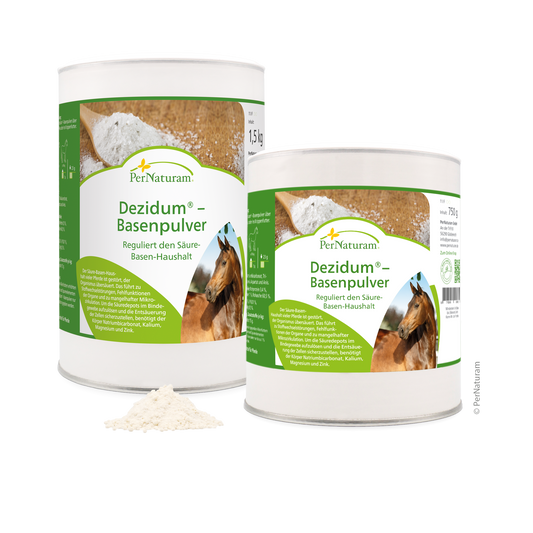 Dezidum - Basenpulver - HorseHealthEssentials