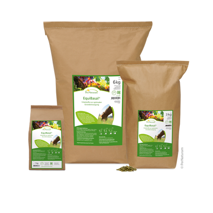 EquiBasal - HorseHealthEssentials