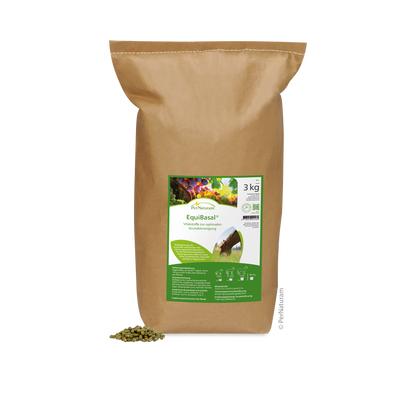 EquiBasal - HorseHealthEssentials