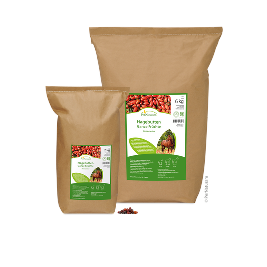 Hagebutten ganze Früchte - HorseHealthEssentials