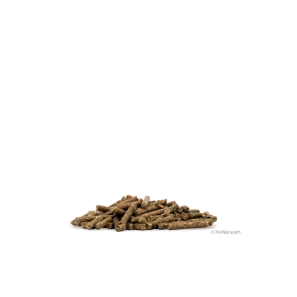 Hunsrücker ProteinPellets - Das eiweißreiche Grundfutter - HorseHealthEssentials