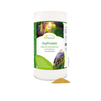OxyProtect - HorseHealthEssentials