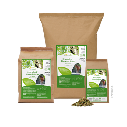 Rhenalind Nierenkräuter - HorseHealthEssentials
