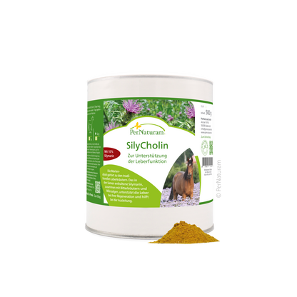 SilyCholin